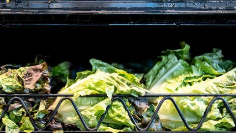 'Watery diarrhea' cases surge in Quebec, as Michigan identifies lettuce as possible source of outbreak