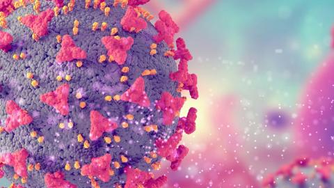 How we are engineering bacteria to eat cancer