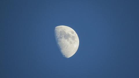 It's faster to fly a human around the moon than to get a new drug to Canadians