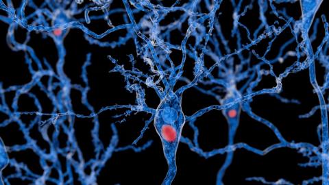 Foldable synthetic molecules could infiltrate and bust apart the toxic protein clumps causing Parkinson’s