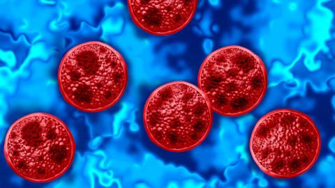 Cyclosporiasis outbreak has affected about 1 in every 1,000 people in Michigan and killed two