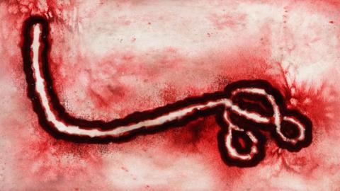 Canada authorizes clinical trials of Moderna Ebola vaccine