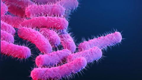A new vaccine could vanquish a major cause of deadly diarrheal disease