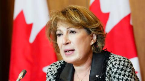 Feds should devise way to reflect on COVID-19 response, says Canada's chief science adviser