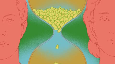 Cialis is an erectile dysfunction drug. Could it also help you live longer?
