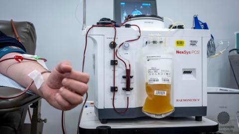 Why Canada’s biggest paid plasma collector has paused operations