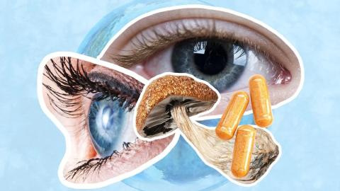 This Toronto writer took a massive dose of psilocybin to face Stage 4 cancer. It changed how she saw her final days