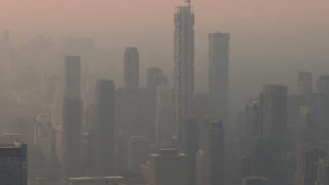 Vulnerability to wildfire smoke is in our genes, thanks to an evolutionary quirk
