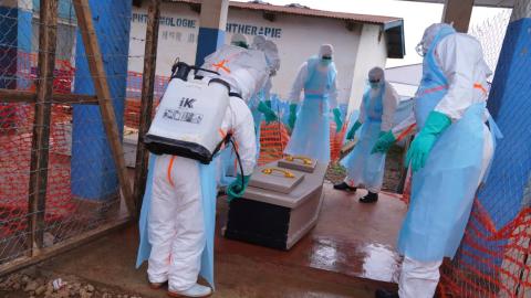 An Egyptian pharmaceutical firm is developing an Ebola vaccine