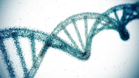 With the snip of a gene, scientists hope to erase high cholesterol for life