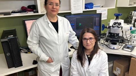 ‘It is exciting’: Manitoba researchers find potential breakthrough for Multiple Sclerosis treatment