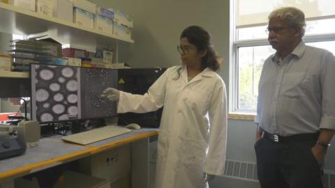 ‘I’ve never been so excited’: New nanoparticle study at U of A offers hope for new Alzheimer’s treatment