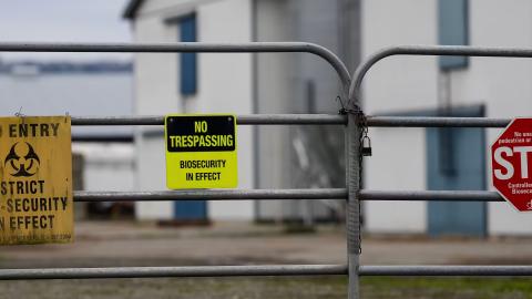 How does a bird virus infect a person? Surprising findings from B.C.’s human case of H5N1 avian flu