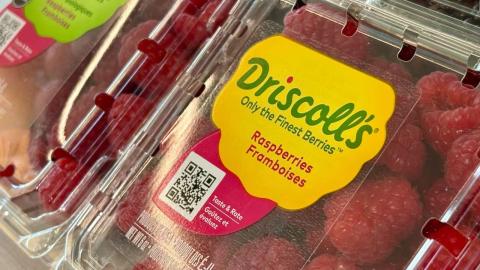 Are the raspberries in my fridge OK to eat? What to know about chemical levels on Driscoll's berries