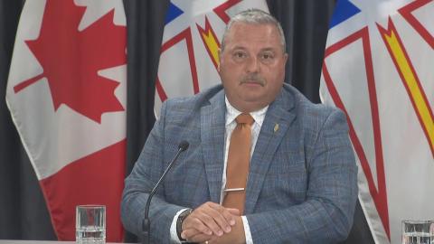 N.L.'s new health minister says negotiating a federal pharmacare deal is a top 'priority'