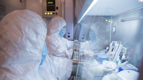 Canada closely following reports of plague in Russia, health minister says