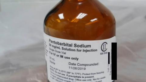 Christa Pike survived 2 doses of an execution drug. How is that possible?