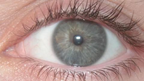 How governments can preserve trust while expanding access to vision care