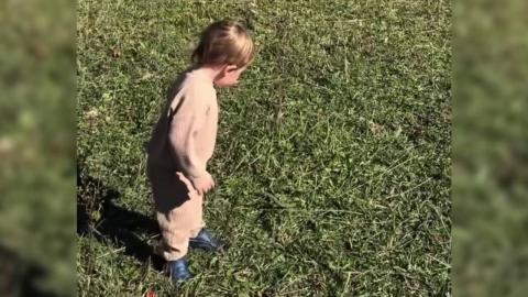 Ontario toddler survives rattlesnake bite, partly thanks to 18 doses of antivenom