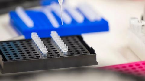 U.S. bans imports from 3 Chinese biotech companies over forced labor allegations