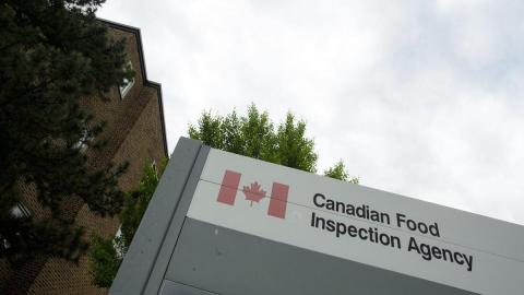 27 sickened by salmonella in outbreak linked to dog food and treats