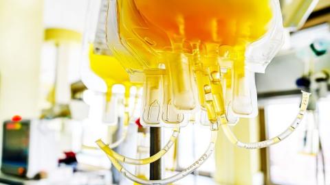 Grifols plasma collection sites should stay closed and private for-profit plasma collection should be prohibited in Canada