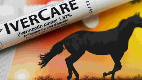 Ivermectin isn’t a cancer miracle drug, but influencers claim otherwise – here’s how to avoid sprinting past scientific evidence