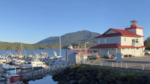 More than 120 people fall sick from norovirus outbreak on cruise ship bound for Canada
