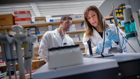 UBC Medicine researchers awarded more than $5.8M in federal funding to advance scientific discovery