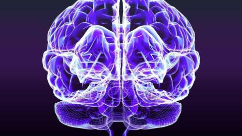 A Glimpse of Hope That Alzheimer's Can Be Reversed