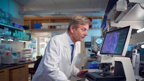A healthier gut may be key to cancer care