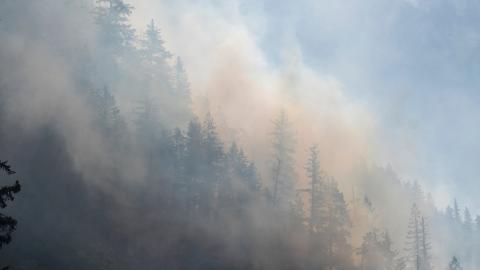After enduring smoke-choked Beijing, I'm reliving the experience in Canada