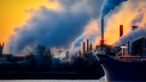 Air pollution pushes up cardiovascular deaths: EU agency