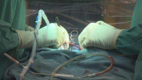 Alberta heart, cancer patients waiting too long for critical surgery, health experts warn