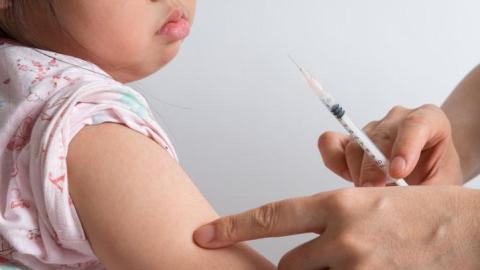 Antibiotic-resistant pertussis spreading in U.S., South America