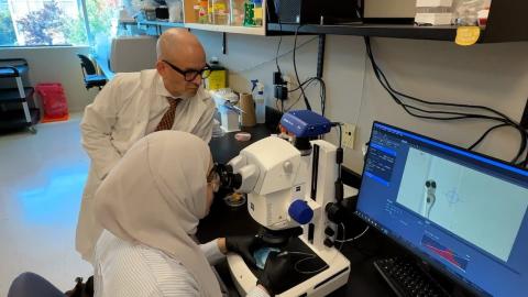 Are you a scientist planning to leave the U.S. for Canada? CTV wants to hear from you