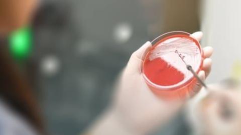 'As new infections outpace new drugs, are we sleepwalking into a global health disaster?'