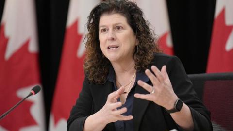 Auditor general reports on avian flu vaccines, First Nations funding