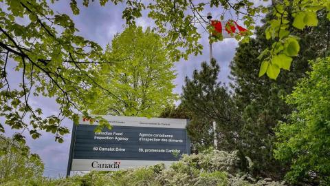 Avian flu found at commercial poultry facility in Amherstburg