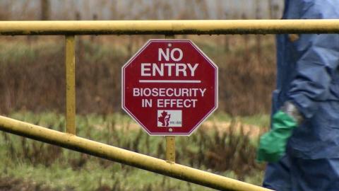 Avian flu strikes farms in B.C.'s Fraser Valley, with 7 outbreaks this month