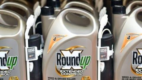 Bayer agrees to pay $7.25bn to settle Roundup weedkiller cancer lawsuits