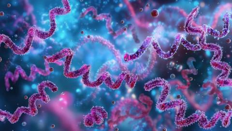 Big decline in syphilis seen after introduction of doxyPEP