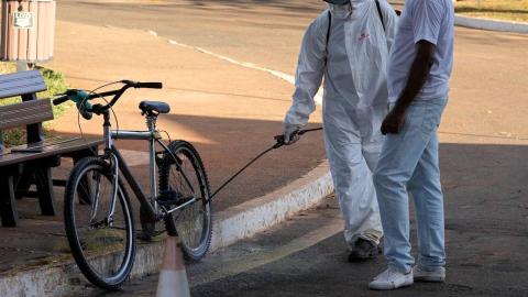 Bird flu poses risk of pandemic worse than COVID, France’s Institut Pasteur says
