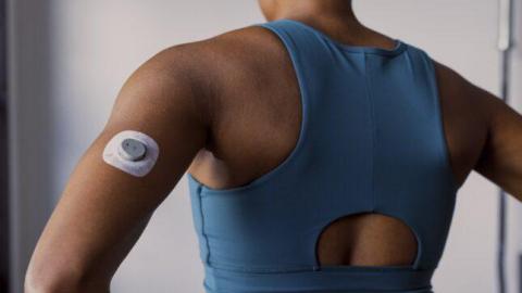 Blood glucose sensors: medical device or wellness tool?