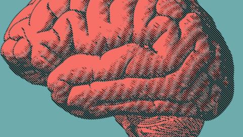 Brains of 'superagers' offer clues to resilience against Alzheimer's