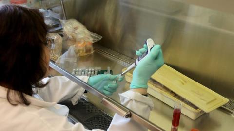 Build it and they will come? The hurdles facing Canada's planned pandemic-busting lab