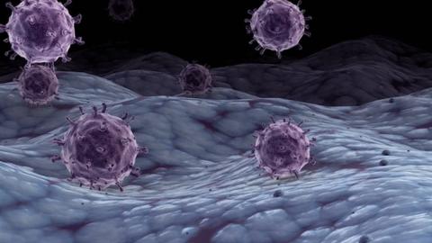 Calgary is one of the country's hot spots for influenza: Health Canada