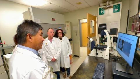 Calgary researchers study Vitamin B3 as potential treatment for deadly brain tumour