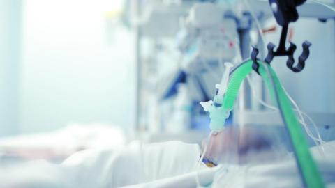 Cambodian boy in ICU with H5N1 avian flu infection