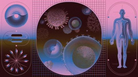 Can a "Living Drug" Cure Autoimmune Diseases?